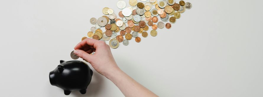 Seguros de Ahorro y Renta Personal